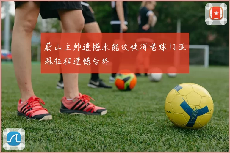 蔚山主帅遗憾未能攻破海港球门亚冠征程遗憾告终